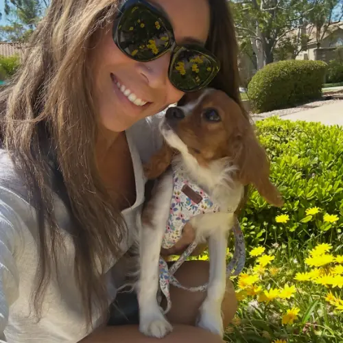 Tierrasanta Dog Walking